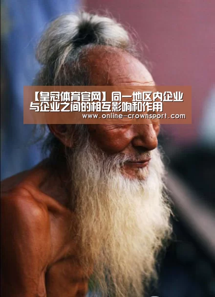 【皇冠体育官网】同一地区内企业与企业之间的相互影响和作用――以中国农村工业企业为中心(图2) 皇冠体育