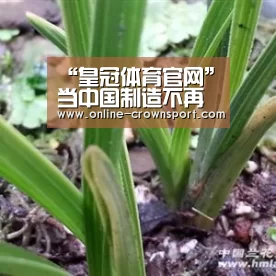 “皇冠体育官网”当中国制造不再有成本优势 一些生产线回流到英国(图1) 皇冠体育下载