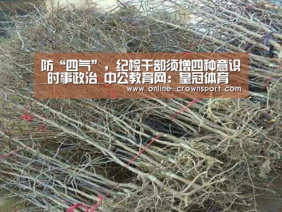 防“四气”,纪检干部须增四种意识_时事政治_中公教育网:皇冠体育下载(图1) 皇冠体育官网