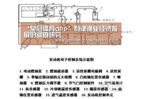 ‘皇冠体育app’利津渔业经济发展的调查研究(图1) 皇冠体育