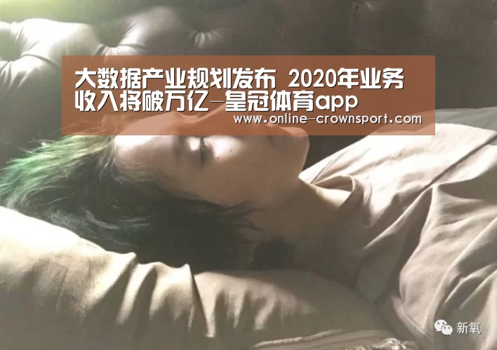 大数据产业规划发布 2020年业务收入将破万亿-皇冠体育app(图2) 皇冠体育官网